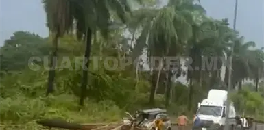 Lluvias y vientos tiran palmeras y árboles en libramiento Sur Lluvias y vientos tiran palmeras y árboles en libramiento Sur
