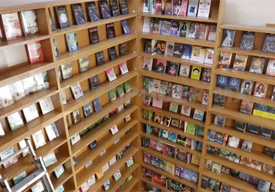Bibliotecas escolares en orfandad: especialistas