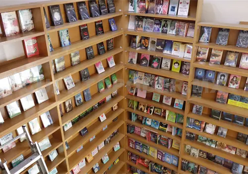 Bibliotecas escolares en orfandad: especialistas