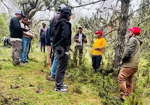 Buscan proteger flora y fauna del Tacaná Buscan proteger flora y fauna del Tacaná