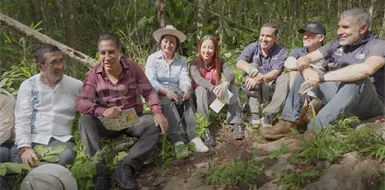 Cuidado ambiental, una estrategia para el estado de Chiapas Cuidado ambiental, una estrategia para el estado de Chiapas