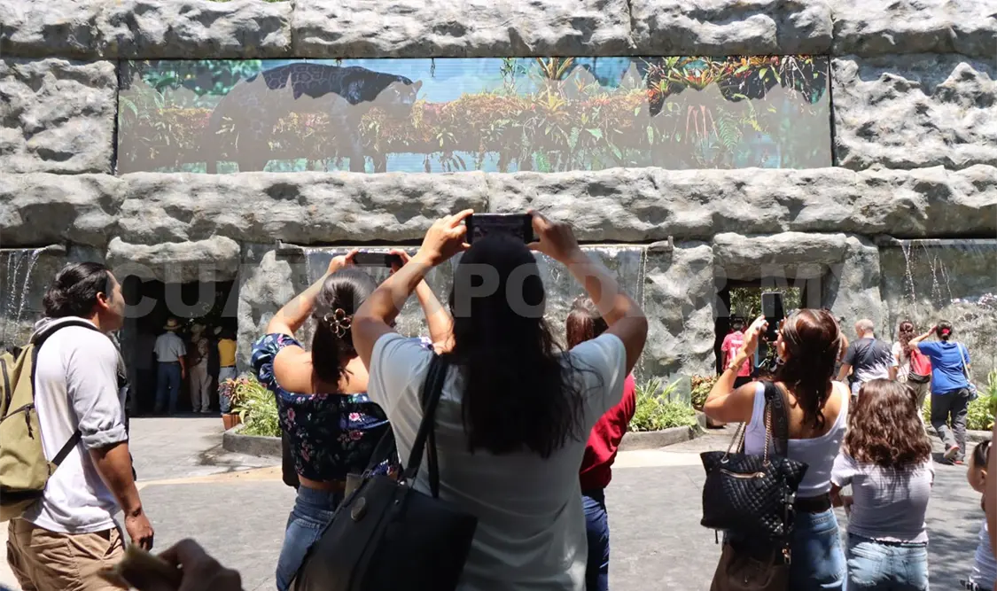 Resaltaron que el zoológico se ha convertido en un espacio con alta afluencia de visitantes. Daniel Oropeza / CP