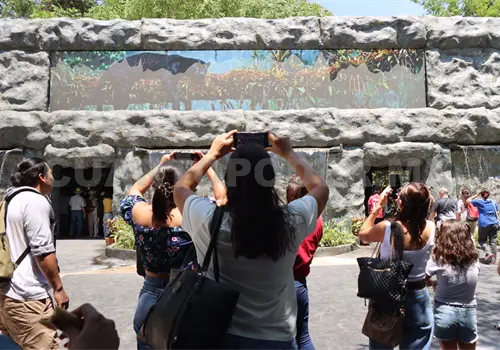 Jauría ingresó al ZooMAT Jauría ingresó al ZooMAT