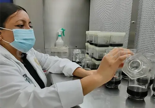 Realizan producci&oacute;n agr&iacute;cola in vitro