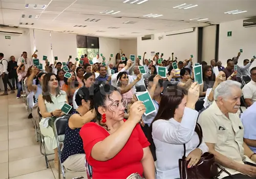 Reorganizan proceso electoral en el Colegio Reorganizan proceso electoral en el Colegio