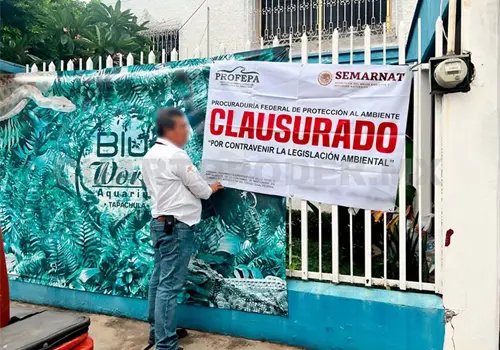 Clausuran empresa por contravenir legislaci&oacute;n ambiental
