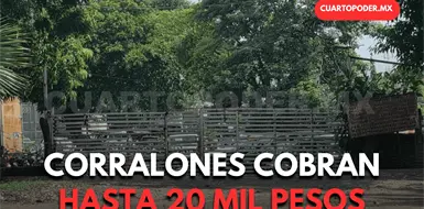 Denuncian abusos de corralones y grúas Denuncian abusos de corralones y grúas