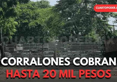 Denuncian abusos de corralones y gr&uacute;as