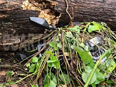 Muere motorista tras caerle &aacute;rbol encima