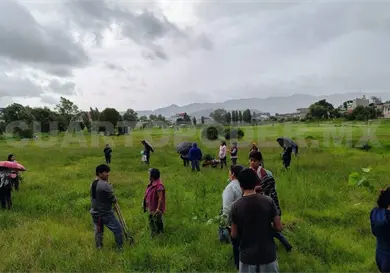 Mayor informaci&oacute;n no implica m&aacute;s participaci&oacute;n