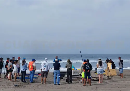 Capacitan sobre varamientos de mam&iacute;feros marinos