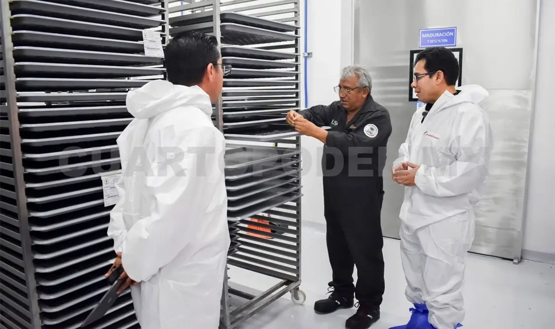 Las actividades ya se encuentran restablecidas. Rafael Victorio / CP