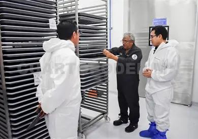 Reanudan actividades en planta de producci&oacute;n de moscas est&eacute;riles