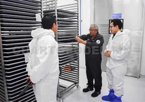 Reanudan actividades en planta de producci&oacute;n de moscas est&eacute;riles