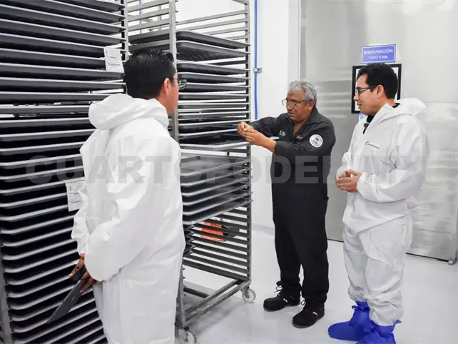 Reanudan actividades en planta de producci&oacute;n de moscas est&eacute;riles