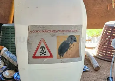 Mueren al tomar químico agrícola Mueren al tomar químico agrícola