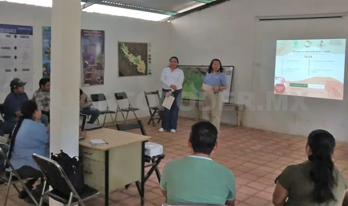 Investigadores realizaron un taller para productores de café para analizar marcos normativos. Cortesía