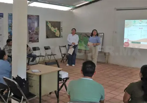 Buscan proteger el caf&eacute; de El Triunfo