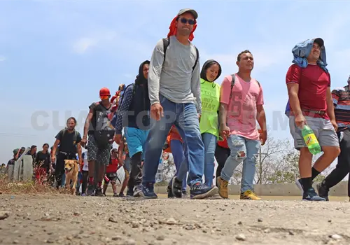 Cae flujo de migrantes por frontera Sur: INM