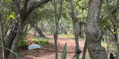 Lo encuentran sin vida en camino de terracería Lo encuentran sin vida en camino de terracería