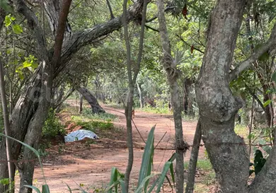 Lo encuentran sin vida en camino de terracería Lo encuentran sin vida en camino de terracería