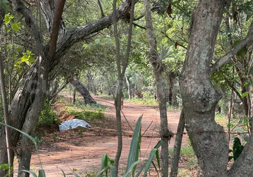 Lo encuentran sin vida en camino de terracería Lo encuentran sin vida en camino de terracería