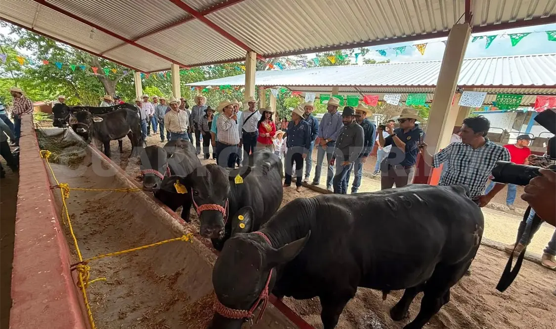 Informaron que Marca Chiapas reúne más de dos mil 700 productos certificados de 650 empresas. CP