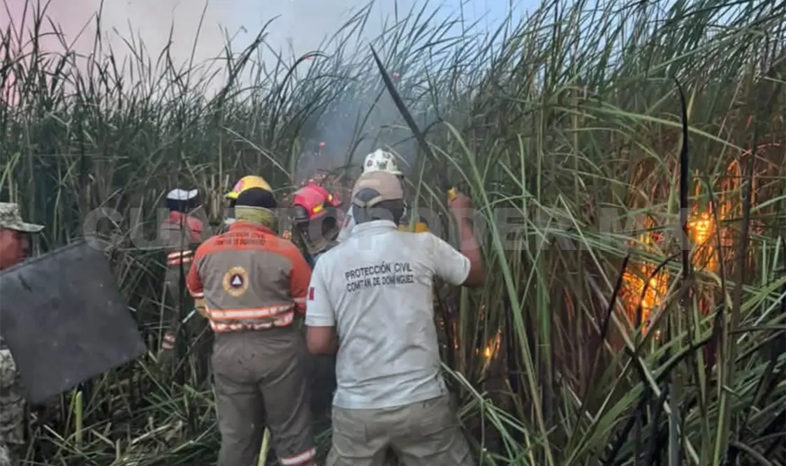 De acuerdo con el reporte, el incendio consumió 50 hectáreas de tular, pastizal y carrizal. CP