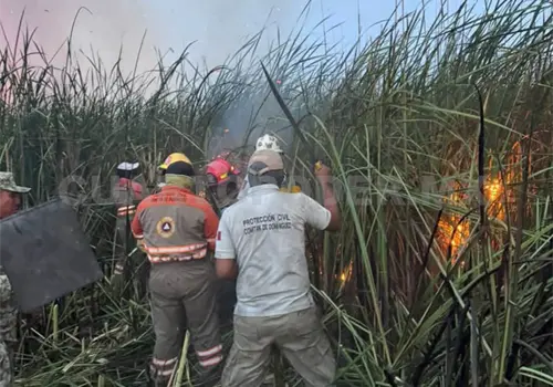 Por cuarta ocasión en el año se incendia La Ciénega Por cuarta ocasión en el año se incendia La Ciénega