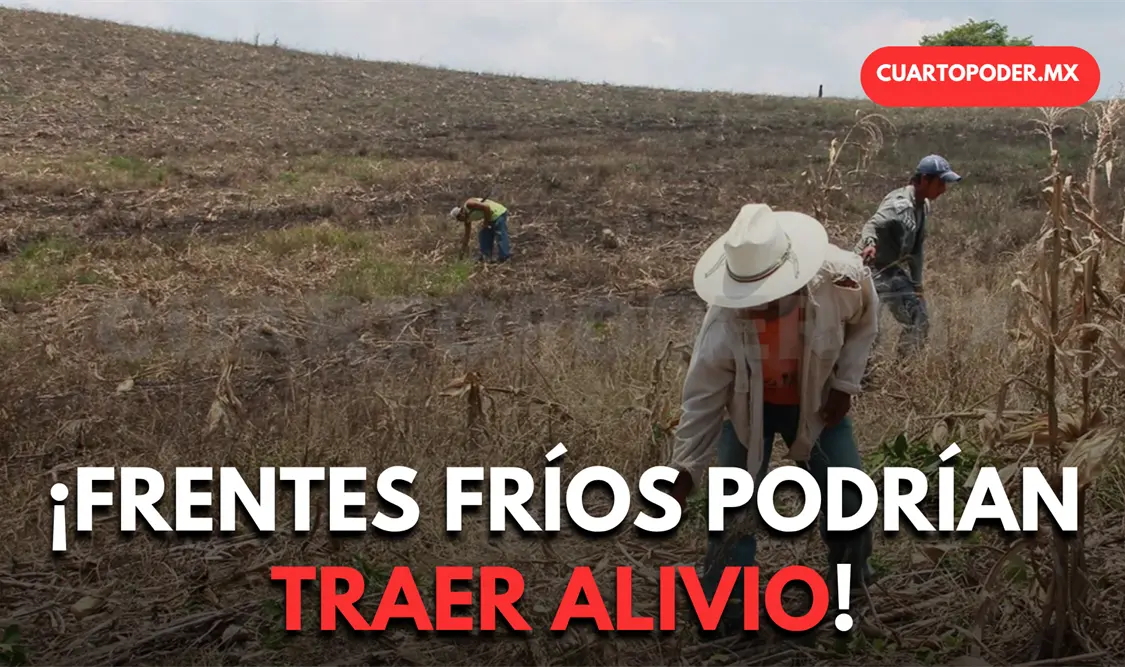 Frentes fríos traerían alivio parcial a la sequía