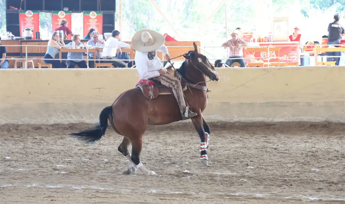 Fotografía: Cortesía