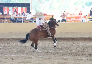 Chiapas Muy Charro 2026, todo un éxito Chiapas Muy Charro 2026, todo un éxito