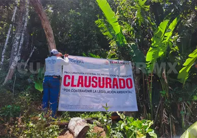 Clausuran predio por talar en ANP