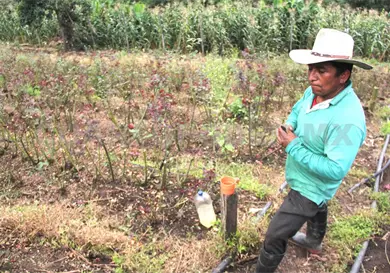 Agricultura debe trabajarse en funci&oacute;n a la sequ&iacute;a