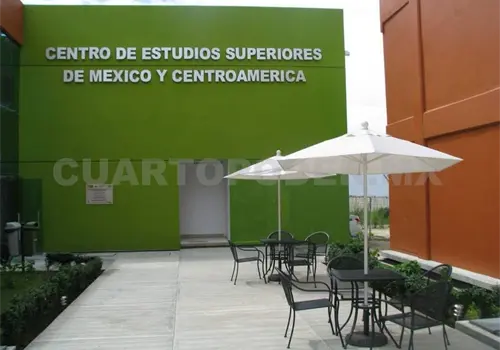 Destituyen a 4 docentes por acoso y racismo