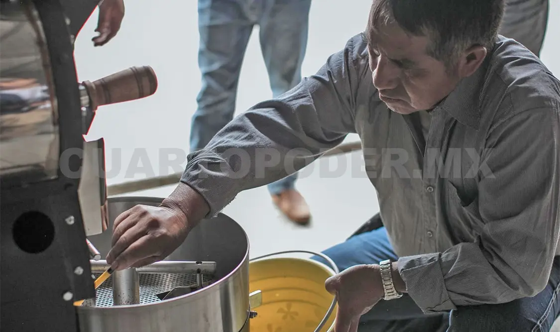 El café de Chiapas tiene una alta demanda en el mercado. Cortesía