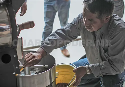 Café de Chiapas es rentable, pero aún no es suficiente Café de Chiapas es rentable, pero aún no es suficiente