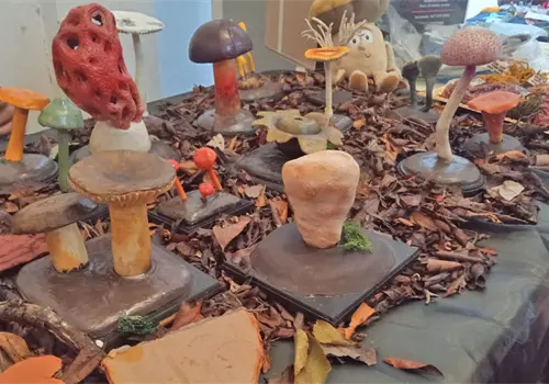 Reino mon&iacute; invade al Museo de la Ciudad