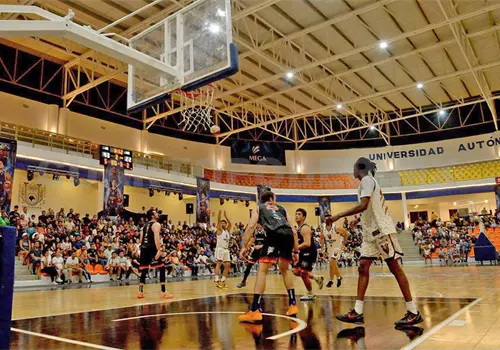 Mantiene Ocelotes racha ganadora en el Cibapac Mantiene Ocelotes racha ganadora en el Cibapac