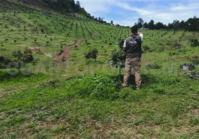 Clausuran dos predios por da&ntilde;os a &aacute;reas naturales