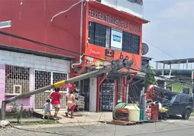 Derriba postes de telefon&iacute;a y alumbrado