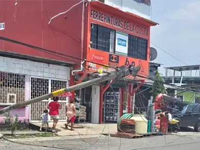 Derriba postes de telefon&iacute;a y alumbrado