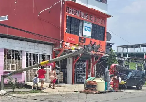 Derriba postes de telefon&iacute;a y alumbrado