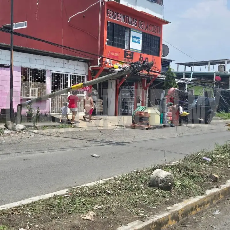 Derriba postes de telefonía y alumbrado