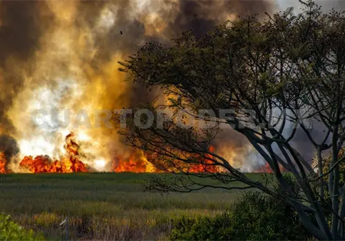 Altas temperaturas podr&iacute;an romper r&eacute;cord