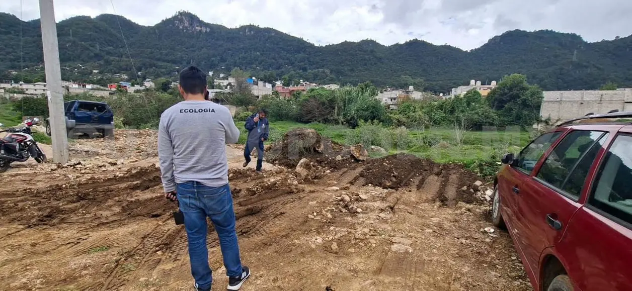 Se localizaron construcciones y remoción de vegetación. Manuel Martínez / CP