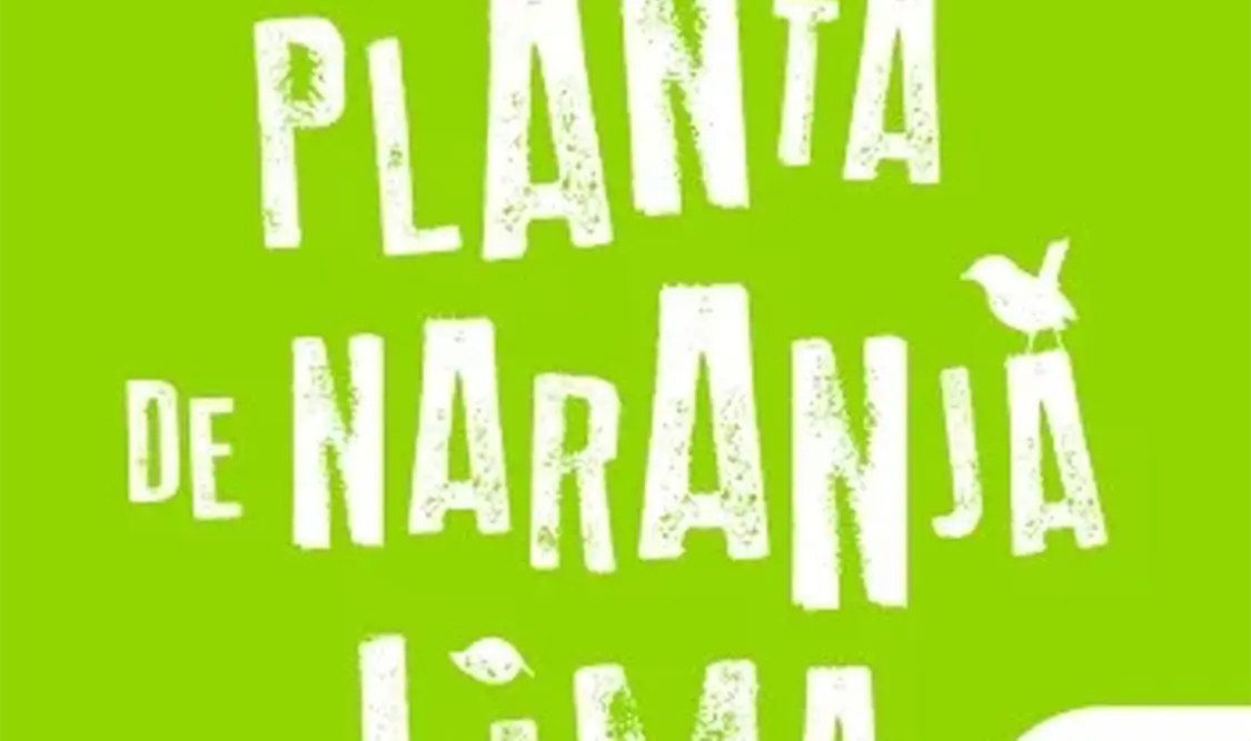 Mi planta de naranja lima