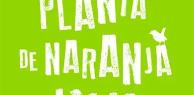 Mi planta de naranja lima