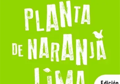 Mi planta de naranja lima