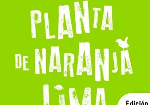 Mi planta de naranja lima
